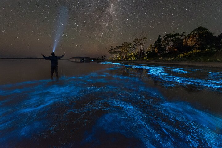 Florida Bioluminescent Kayak & Paddle Board Adventure  - Photo 1 of 7